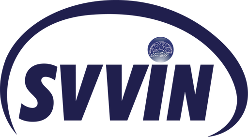 vnsvvin.com Logo